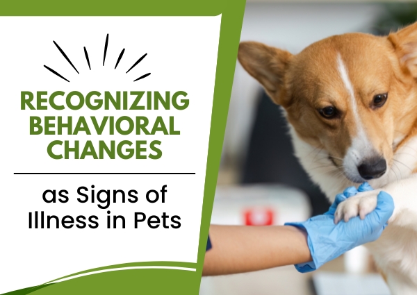 Recognizing Behavioral Changes as Signs of Illness in Pets