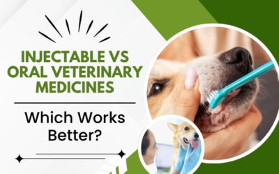 Injectable vs Oral Veterinary Medicines: Which Works Better?