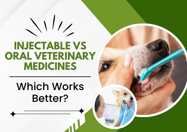 Injectable vs Oral Veterinary Medicines: Which Works Better?