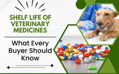 Shelf Life of Veterinary Medicines: What Every Buyer Should Know