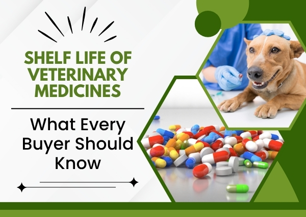 Shelf Life of Veterinary Medicines: What Every Buyer Should Know