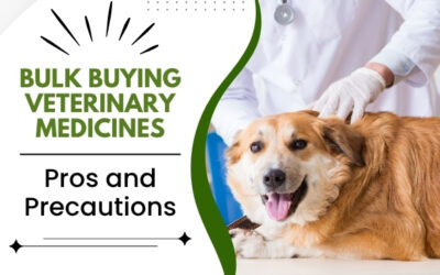 Bulk Buying Veterinary Medicines: Pros and Precautions