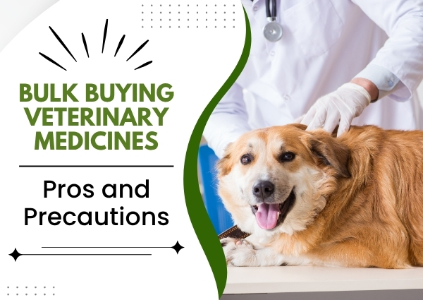 Bulk Buying Veterinary Medicines: Pros and Precautions