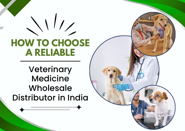 Veterinary Medicine