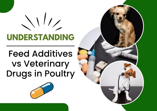 Veterinary Drugs