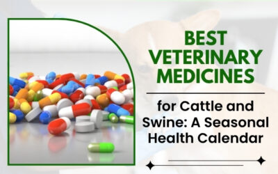 Best Veterinary Medicines for Cattle and Swine: A Seasonal Health Calendar