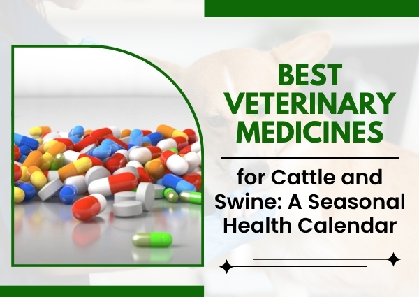 Best Veterinary Medicines for Cattle and Swine: A Seasonal Health Calendar
