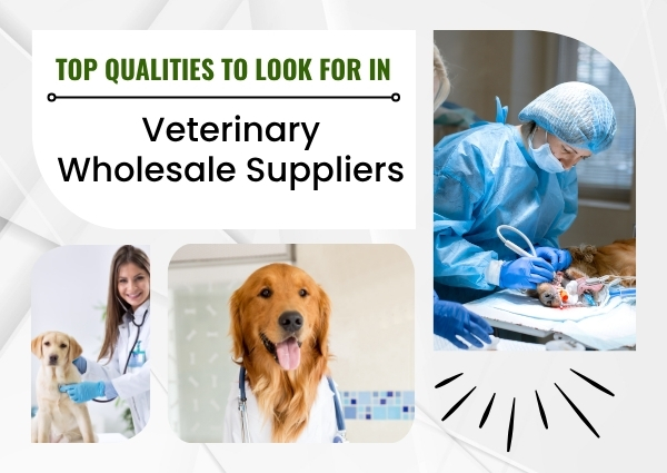 Veterinary Wholesale