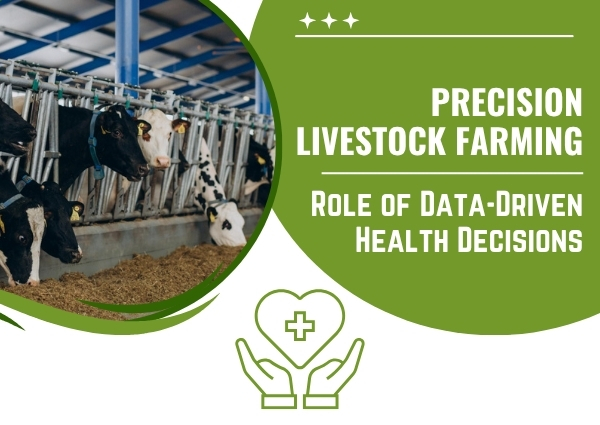 Precision Livestock Farming: Role of Data-Driven Health Decisions