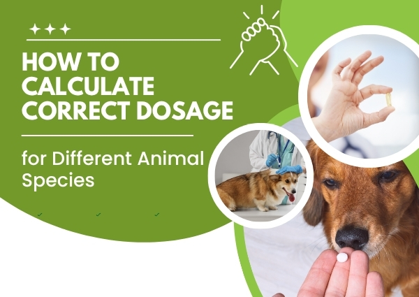 How to Calculate Correct Dosage for Different Animal Species